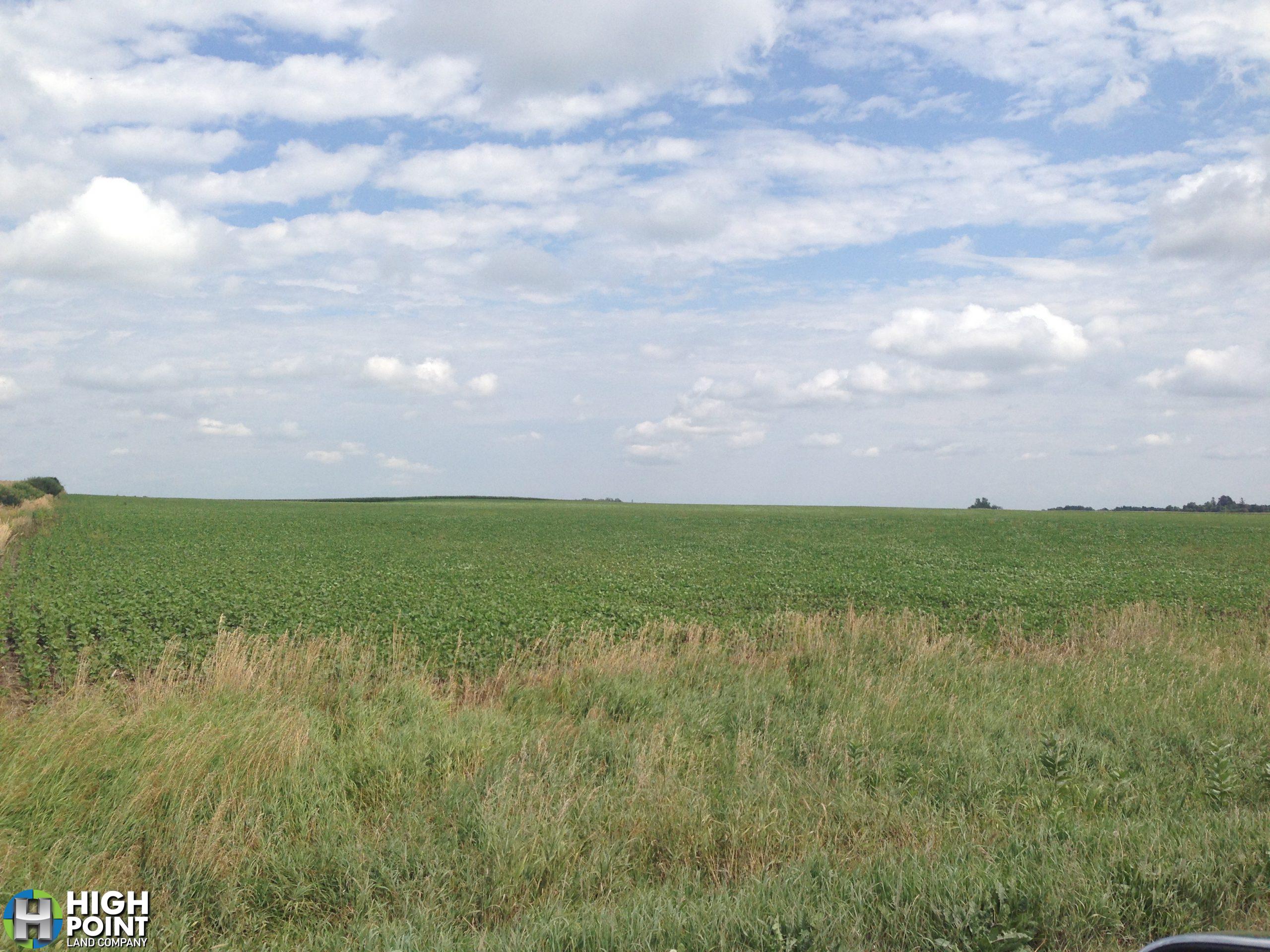 40+/- Acres Fillmore County, MN