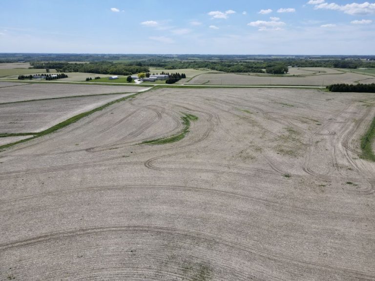 55+/- Acres Olmsted County, MN