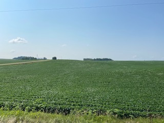 76+/- Acres Olmsted County, MN