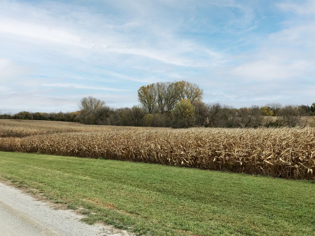 177+/- Acres Fillmore County, MN - AUCTION