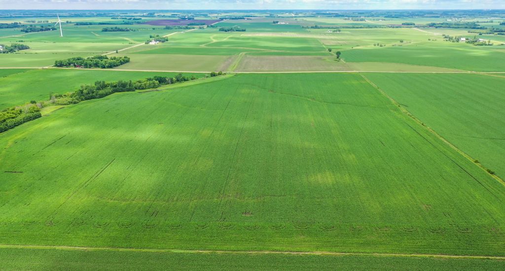 160+/- Acres Mower County, MN - AUCTION