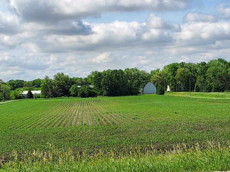 159.2+/- Acres Fillmore County, MN