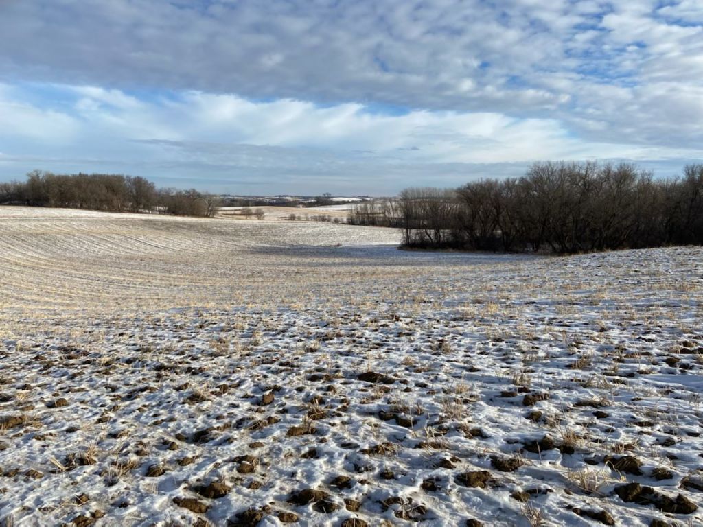 40+/- Acres Goodhue County, MN