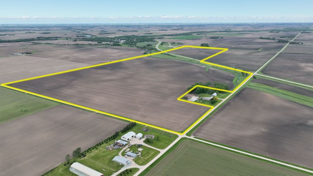 226+/- Acres Mower County, MN - AUCTION