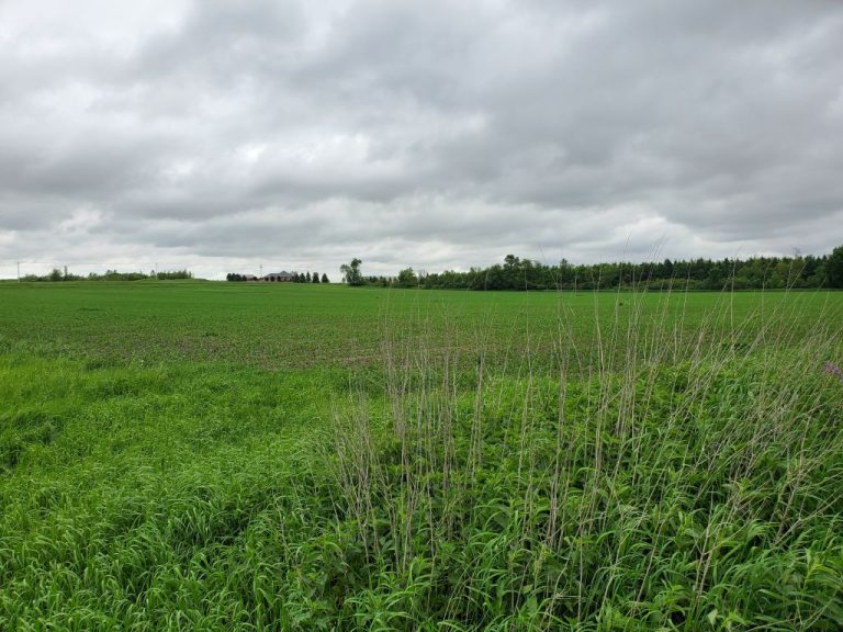 85+/- Acres Fillmore County, MN