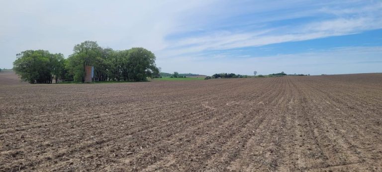 80+/- Acres Olmsted County, MN