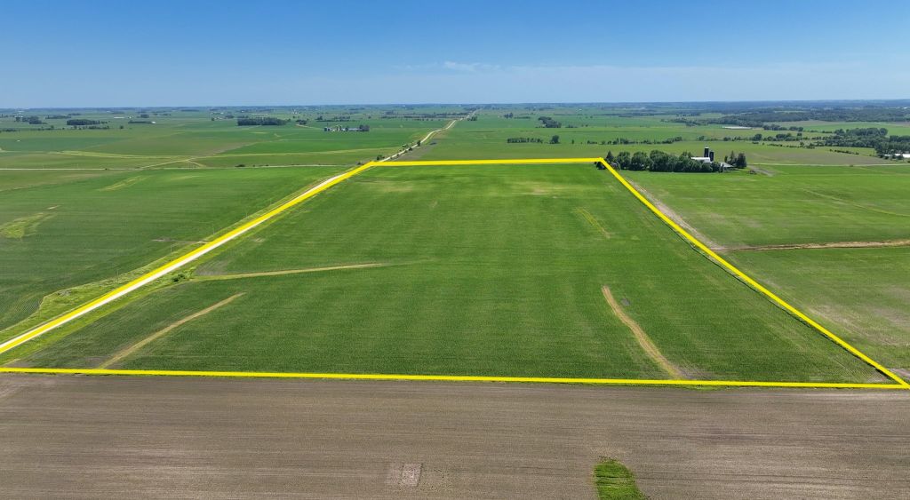 68+/- Acres Chickasaw County, IA - AUCTION