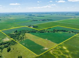 120+/- Acres Wright County, IA - AUCTION