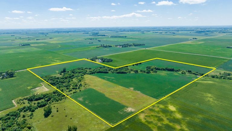 120+/- Acres Wright County, IA – AUCTION