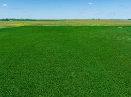 120+/- Acres Wright County, IA - AUCTION
