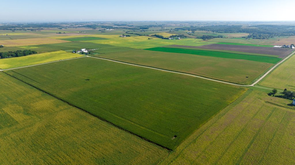 154+/- Acres Delaware County, IA - AUCTION