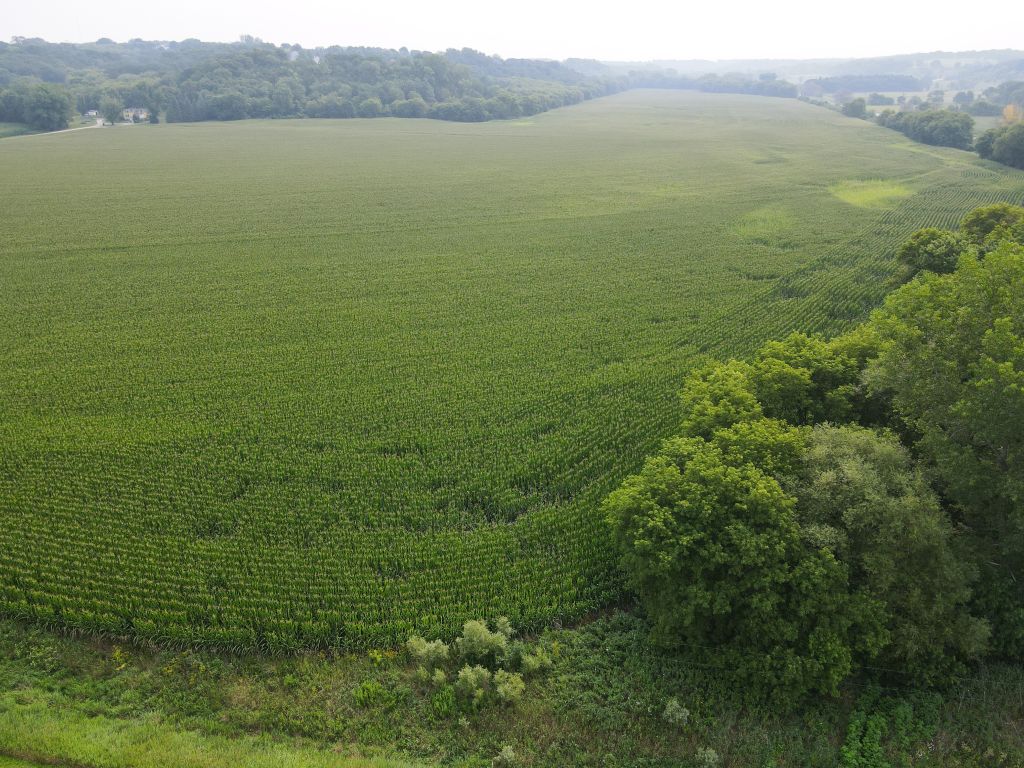 189.7+/- Acres Olmsted County, MN