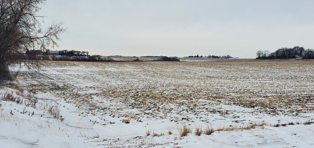 120+/- Acres Goodhue County, MN