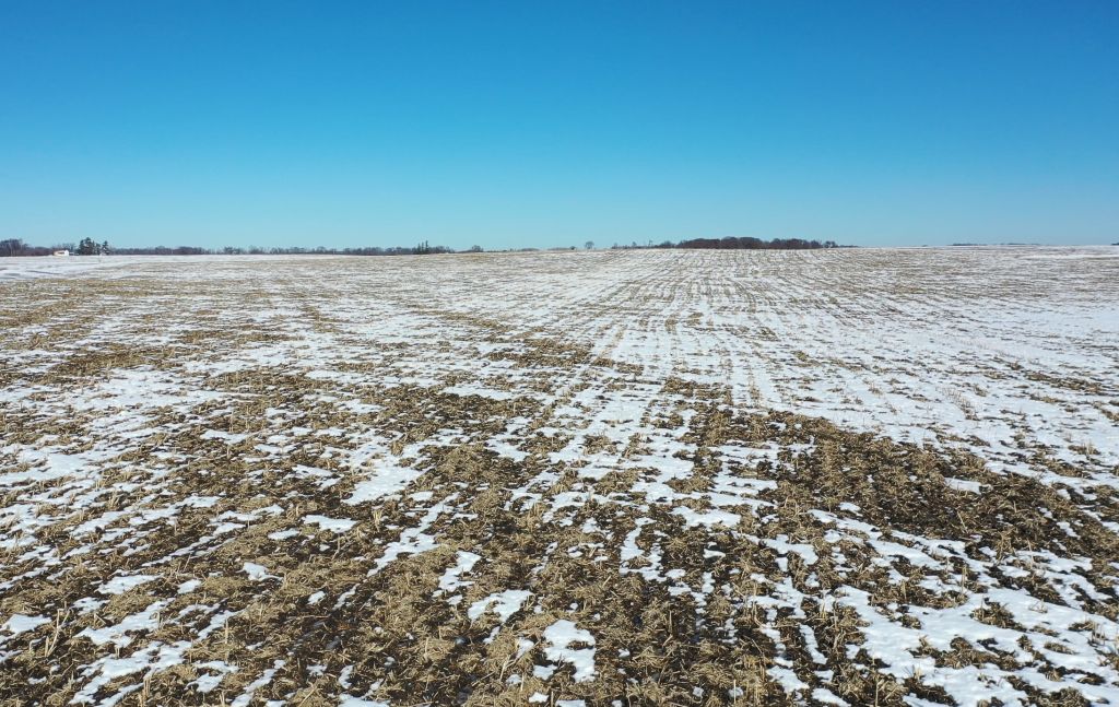 356.12 +/- Acres Chickasaw County, IA - AUCTION