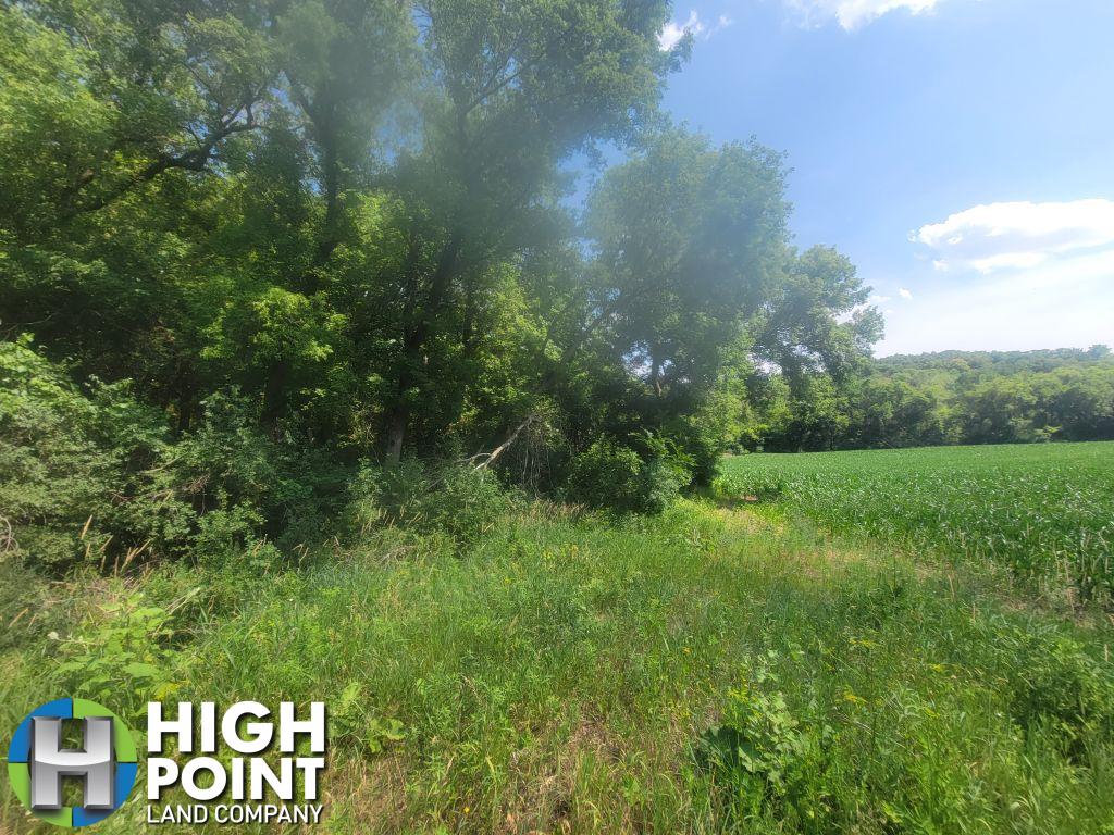 14+/- Acres Olmsted County, MN