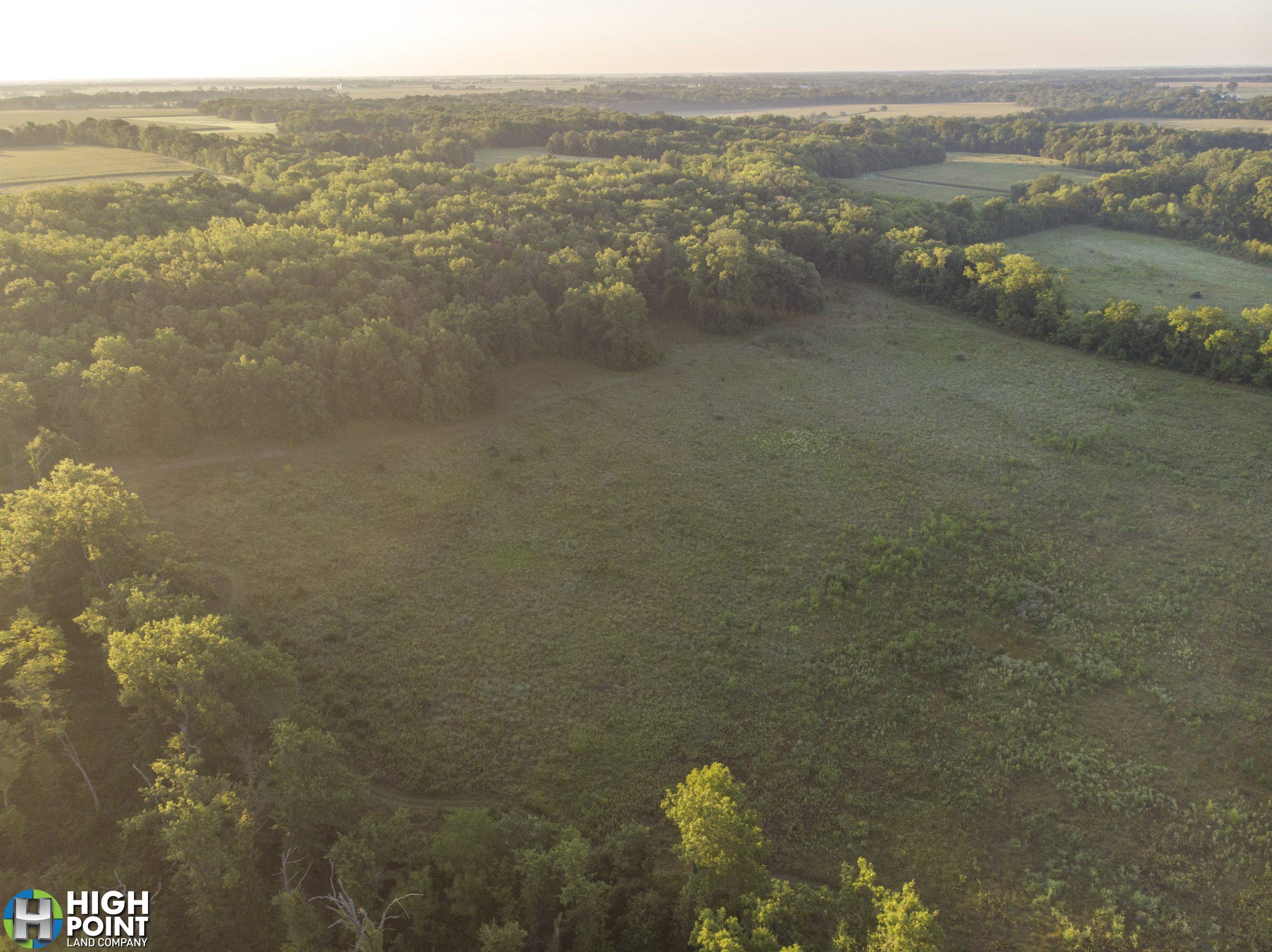 113.42+/- Acres Ralls County, MO - AUCTION