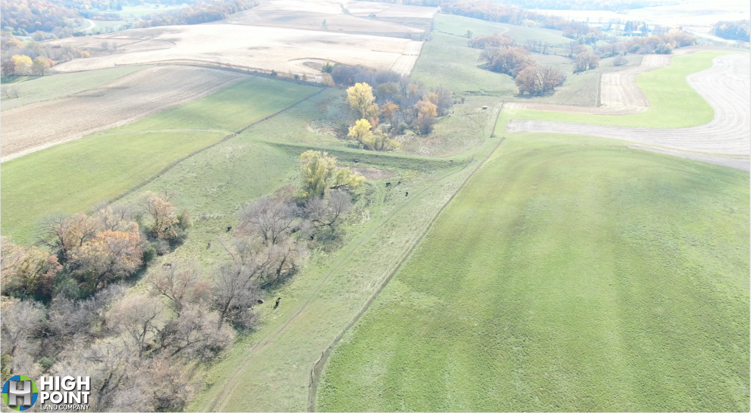 118.31+/- Acres Olmsted County, MN
