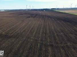 120+/- Acres Mower County, MN - AUCTION