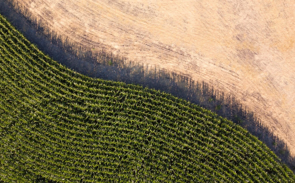 midwest land appraisals