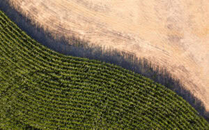 midwest land appraisals